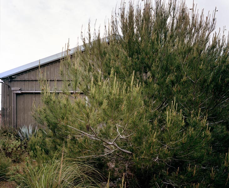 S'Enclusa large format photograph 10 by Manuel Pinar