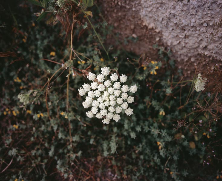 S'Enclusa large format photograph 2 by Manuel Pinar