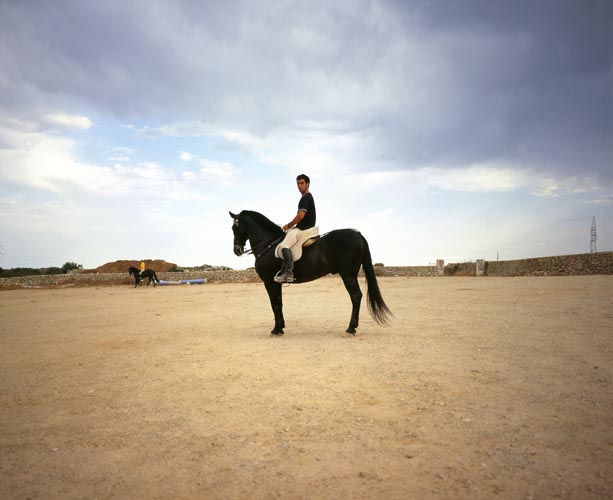 Series Genets large format photograph 3 by Manuel Pinar